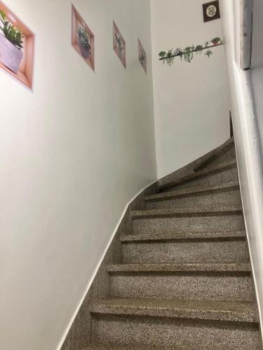 a staircase in a house with a stair case at Gaby's House in Liège