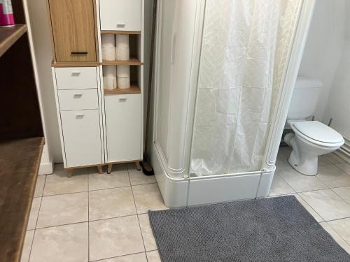 a bathroom with a shower and a toilet at Gaby's House in Liège