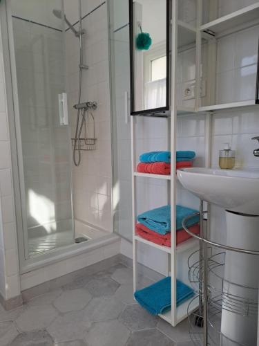 La salle de bains est pourvue d'une douche, d'un lavabo et de serviettes. dans l'établissement Studio plein centre, à Dol-de-Bretagne