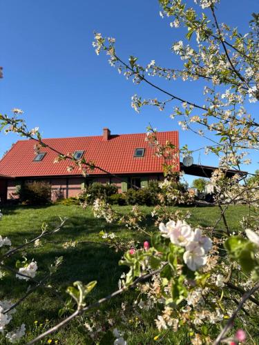 Taman di luar Kaszubska Oaza Garczyn