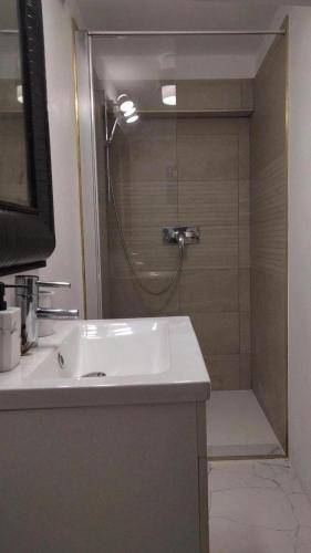 une salle de bain avec une douche avec un lavabo et une douche dans l'établissement Romantic Studio, à Neuilly-sur-Marne