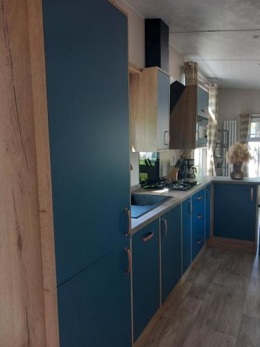 a kitchen with blue cabinets and a blue door at PrinsHeerlijk in Harderwijk