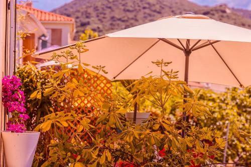 a white umbrella sitting next to some plants at Solacargese Appartement de charme Vue imprenable Méditerranée in Cargèse