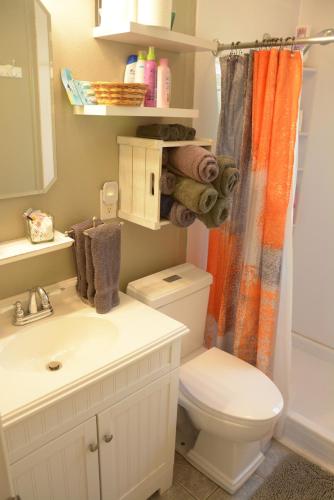 a bathroom with a toilet and a shower curtain at Eagles Beach Nest II in New Buffalo