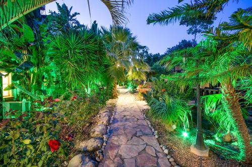 a garden with palm trees and a pathway at The Pearl of the Golan - Pnina BaGolan in Had Nes