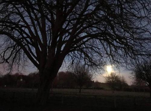 Φωτογραφία από το άλμπουμ του Cotswolds Retreat σε Overbury