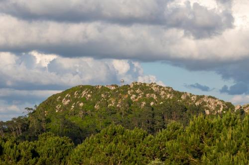 a mountain covered in trees with a cloudy sky at Caminho Real Guest Apartment I in Nazaré