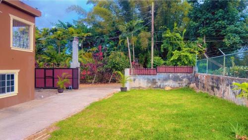 a backyard with a fence and a grass yard at Wild Orchid Bloom-Blue Lemon in Mandeville