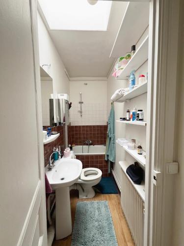 une salle de bain avec un lavabo et des toilettes dans l'établissement Appartement Saint Ferdinand, à Paris