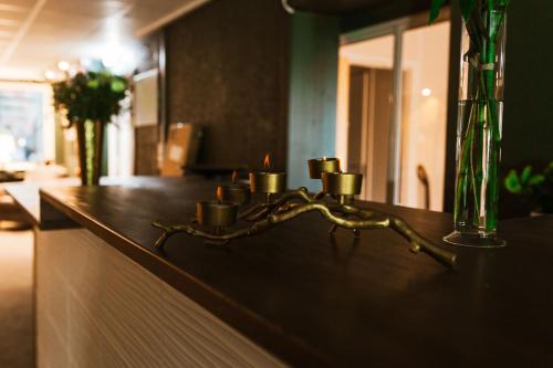 Fotografie z fotogalerie ubytování Lycksele Inn v destinaci Lycksele