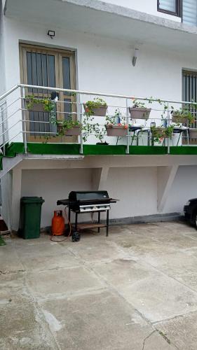 a balcony with potted plants on the side of a building at Nani Apartman - Banja Ždrelo in Malo Laole