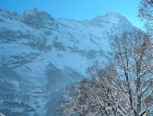 a snow covered mountain with trees in front of it at Hotel Gletschergarten in Grindelwald