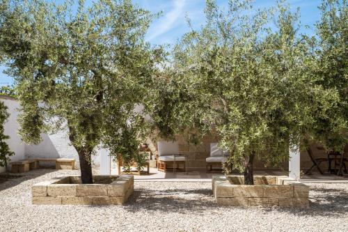 two trees in stone planters in a yard at Ella Stays in Santa Maria al Bagno