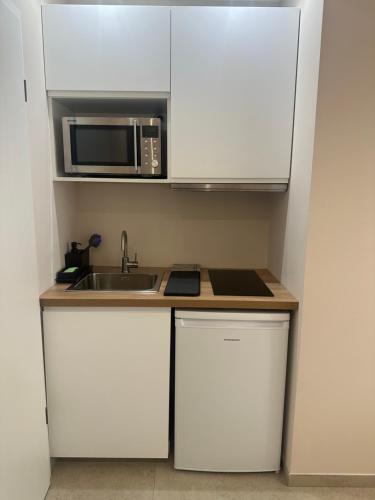 une petite cuisine avec un évier et un micro-ondes dans l'établissement Charmant Studio avec terrasse, à Illkirch-Graffenstaden