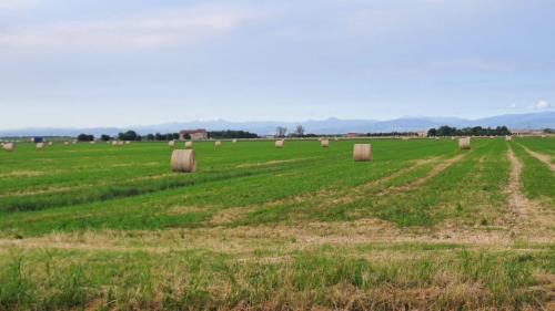 a field with hay bales in the middle at Ducathotel in Torrile