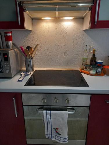 une cuisine avec un évier et une cuisinière four supérieur dans l'établissement Les carlins, à Nice