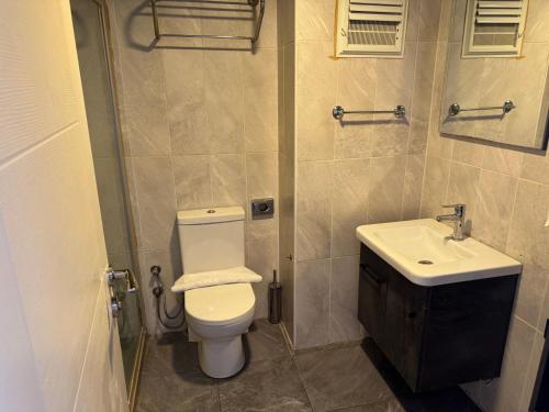 a bathroom with a toilet and a sink at Pin Suite in Buyukcekmece