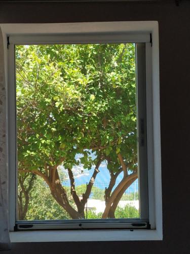 a window with a view of a tree through it at Sofias house at Agkona Kefalonia in Angón