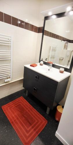 La salle de bains est pourvue d'un lavabo, d'un miroir et d'un tapis rouge. dans l'établissement Appart Sud III Rouen Nataya, à Rouen