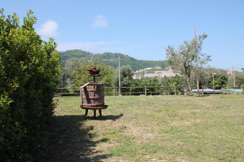 a bird feeder sitting in the middle of a field at Agriturismo Piccolo Paradiso in Piano di Sorrento