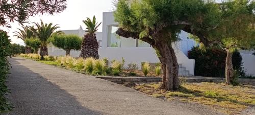 a path leading to a white house with trees at Notos Villas in Frangokastello