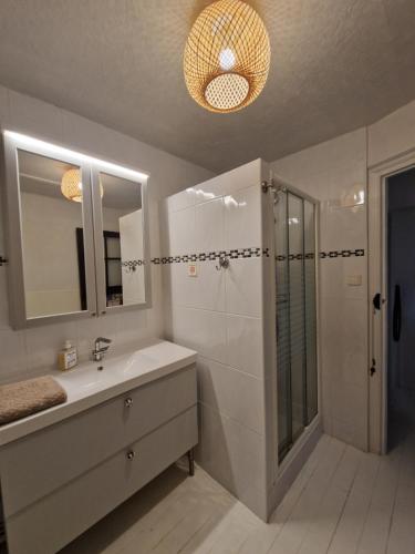 a bathroom with a shower and a sink and a mirror at Chaumière historique à 5min de la plage in Veules-les-Roses