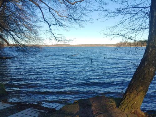 a view of a large body of water at Domek w Borach in Nowe