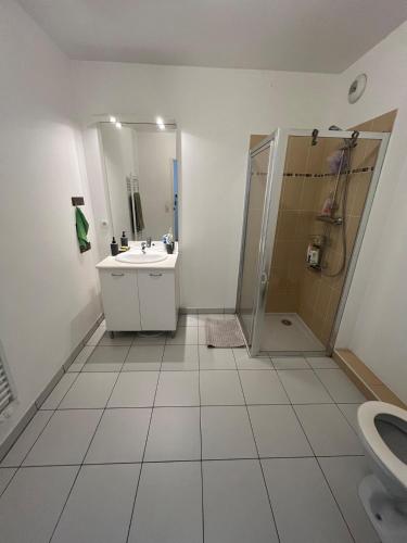 une salle de bain avec un lavabo, une douche et des toilettes dans l'établissement Nice 2P quiet, tram, convenient, à Nice