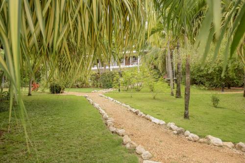 Taman di luar Hotel Villa Del Sol