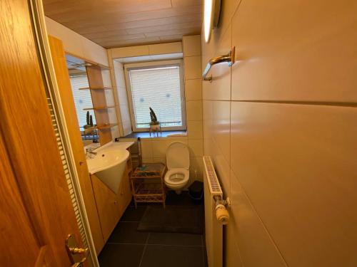 a small bathroom with a toilet and a sink at Golger APP in Obervellach