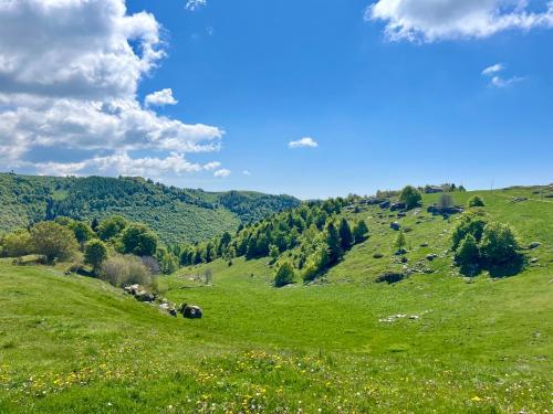 Fotografie z fotogalerie ubytování Chalet I Porsili v destinaci Erbezzo