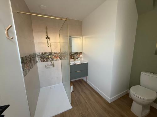 une salle de bain avec toilettes et douche en verre dans l'établissement Chez Auguste, à Chaumont