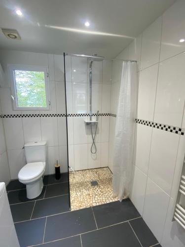 a white bathroom with a toilet and a shower at Gîte des Petites Fadettes "MELUSINE" in Lannepax
