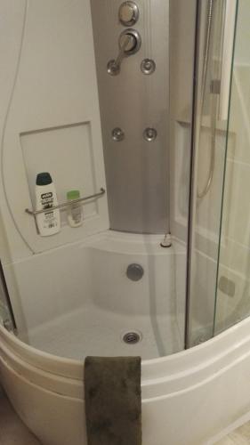 une douche avec une porte vitrée dans une salle de bain dans l'établissement Appartement dans maison avec jardin privé, à La Terrasse