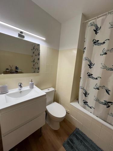 La salle de bains est pourvue d'un lavabo, de toilettes et d'un rideau de douche. dans l'établissement Studio proche promenade des anglais, à Nice