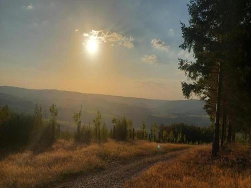 Příroda nedaleko apartmánu