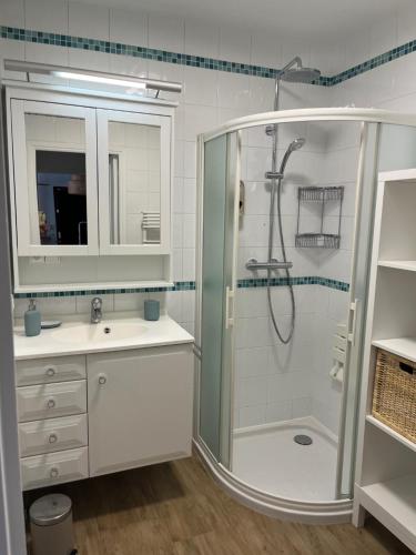 une salle de bain avec douche et lavabo dans l'établissement Maggie, à Menton