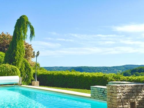 - une piscine avec un palmier et une vue dans l'établissement The Lion House, à Mouzens