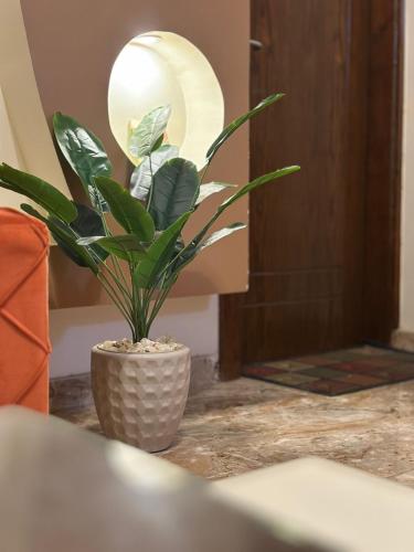 Φωτογραφία από το άλμπουμ του Luxe Nest Guest House Apartment 101 στο Λούξορ