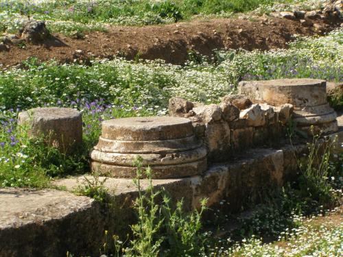 Jardín al aire libre en Anemole Traditional Cretan Villa