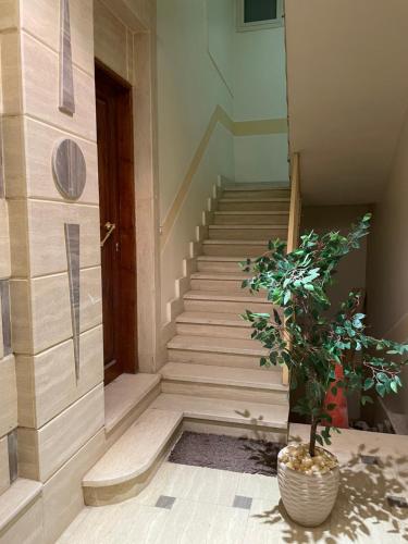 a staircase in a building with a potted plant at Luxe Nest Guest House Apartment 102 in Luxor