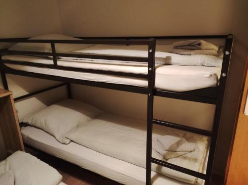 a group of bunk beds in a room at Urlaubshaus-Braunlage Wohnung 2 in Braunlage