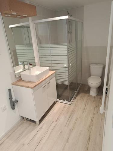 une salle de bain avec une douche, un lavabo et des toilettes dans l'établissement Petite maison à la campagne, à Faverolles