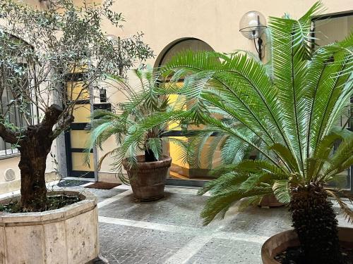 Antico Suites Roma