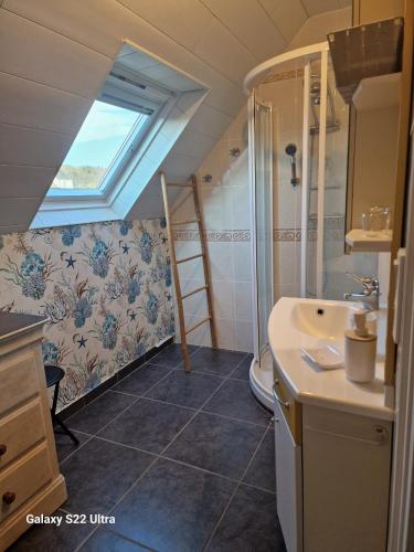 La salle de bains est pourvue d'un lavabo, d'une douche et d'une lucarne. dans l'établissement Les Korrigans, à Tréméven