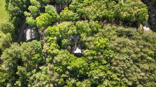 an overhead view of a forest of trees at Mins To Highlands Hot Tub, Fire Pit, Game Room in Franklin