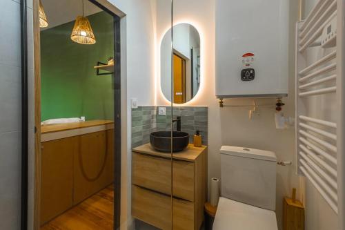 une salle de bain avec toilettes, lavabo et miroir dans l'établissement Magnifique appartement TERRASSE et PARKING privé place Dupuy, à Toulouse