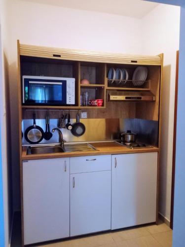 a kitchen with a sink and a microwave at Katerina & Despoinas Apartments in Paralia Panteleimonos