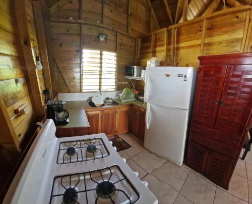 Kuchyň nebo kuchyňský kout v ubytování Negril Humble Cabin