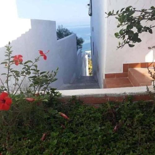 Κήπος έξω από το Maisons D'hôtes